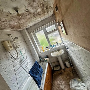 Untitled image