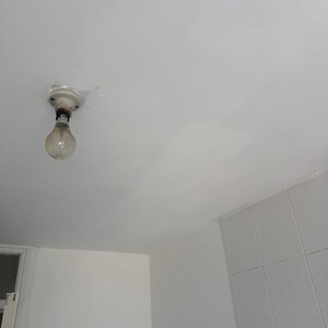 Untitled image