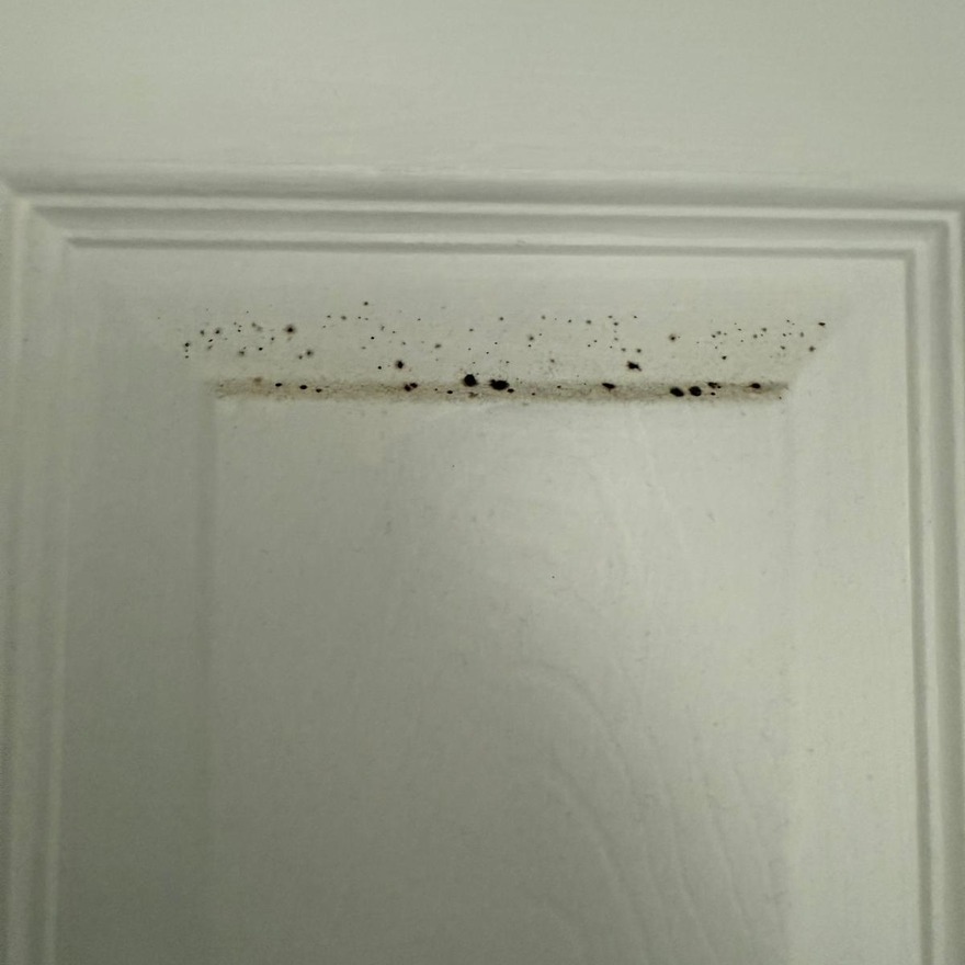 Untitled image