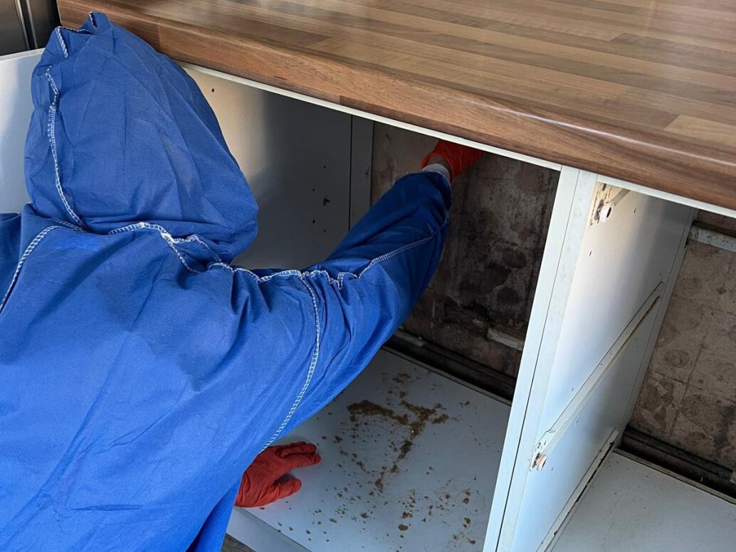 Mould Solution Services